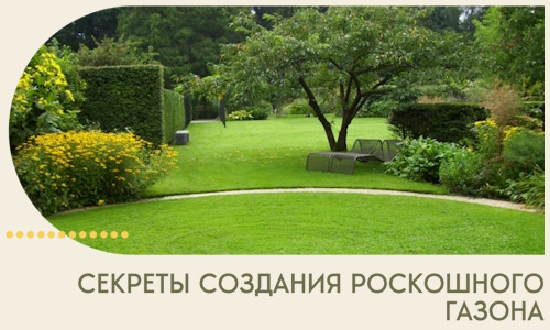 Секреты создания роскошного газона в Юрге